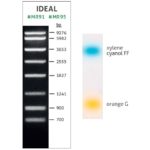 Ideal DNA Ladder (700-9276 bp)