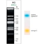 M3 DNA Ladder (11-1444 bp)