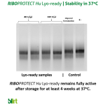 RIBOPROTECT Hu RNase Inhibitor Lyo-Ready
