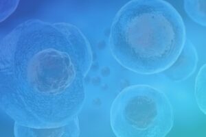 Single Cell Manipulation